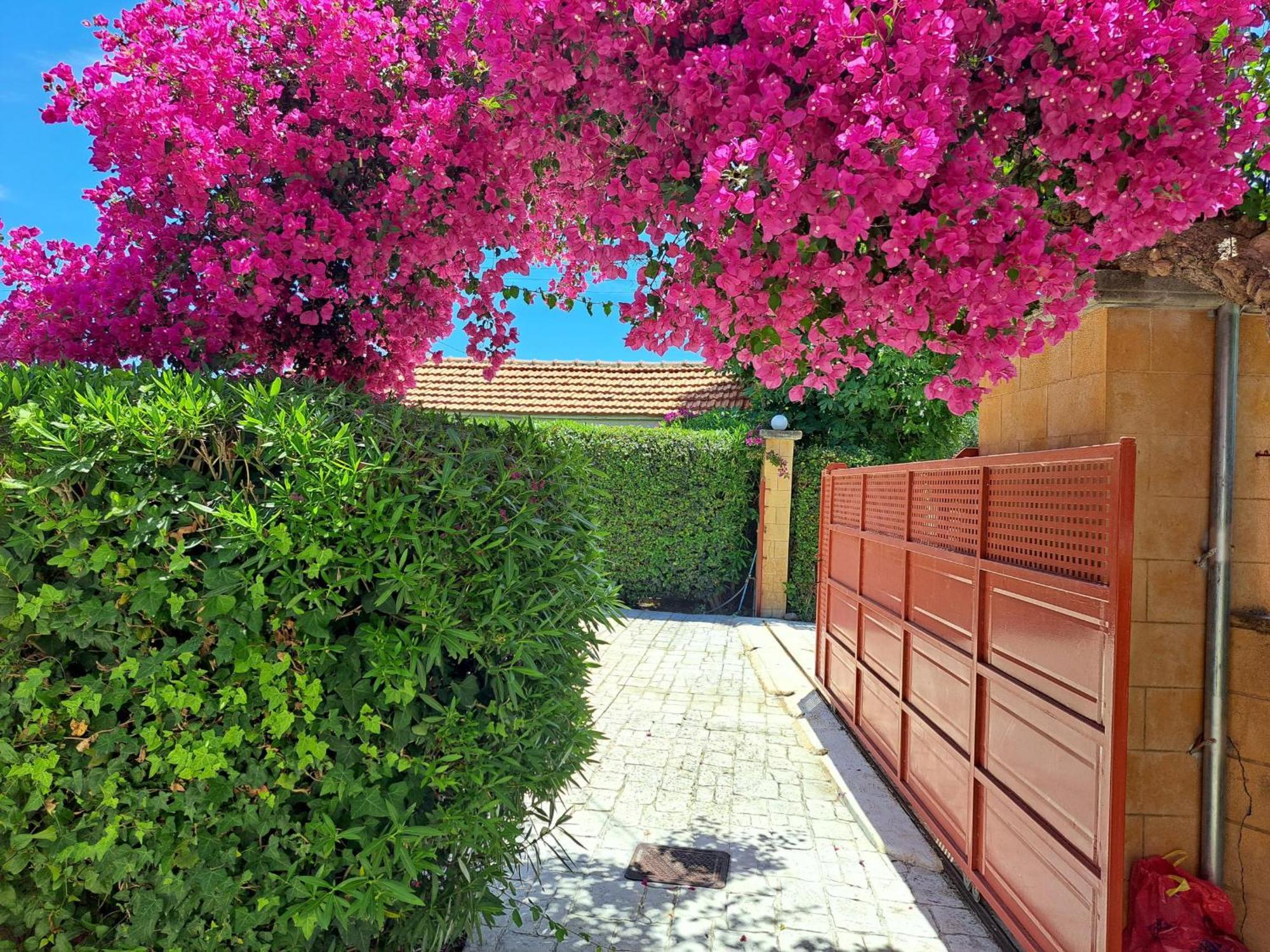 Holiday Home Orfanos Armenoí Exteriér fotografie